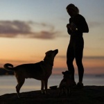 Allenarsi al Mattino o alla Sera? Scopri l’Orario Perfetto per Energia, Performance e Costanza
